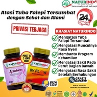 Obat Herbal Tuba Falopi Tersumbat Penyumbatan Tuba Azzahra Naturindo