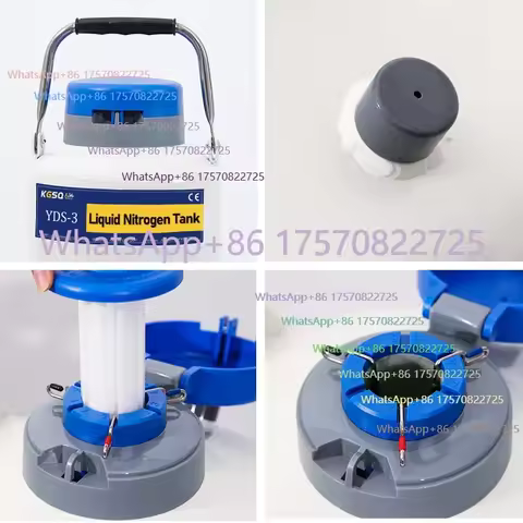 Artificial Insemination Liquid Nitrogen Container 3L Small Cattle Semen Tank 3 Liter Cryogenic Stora