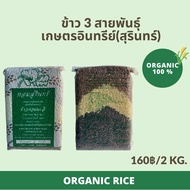 ข้าว 3 สายพันธุ์ (หอมมะลิ105 + ไรซ์เบอร์รี่ + กล้องแดง) เกษตรอินทรีย์สุรินทร์ ไร้สารเคมี100% คัดพิเศ