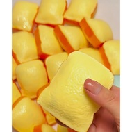 Toast crunchy bread squishy crunchy squishy toys