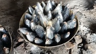 pindang tongkol satuan 1 kg . tongkol matang