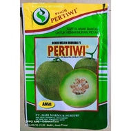 Benih Bibit Melon Pertiwi Anvi