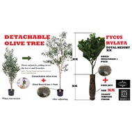 Simulation Olive Tree/Fycus Rylata/Sago Cycas Palm/Pokok Hiasan [ARTIFICIAL PLANT PREMIUM]