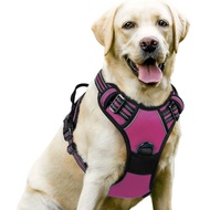 Ready Stock Dog Leash Pet Supplies Factory