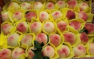 【限量！梨山 入口即化的上海水蜜桃 大果12入(大盒裝)】皮薄汁多 清甜如蜜