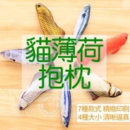 【台灣出貨】貓草魚 貓抱枕 貓薄荷 貓草抱枕 貓薄荷玩具 魚抱枕 貓草枕 貓草玩具 貓玩偶 抱枕 玩偶