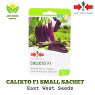 East West Seed Calixto Eggplant(Talong)Sachet 300 seeds