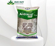 ANTRACOL 70WP gói 1kg - BAYER