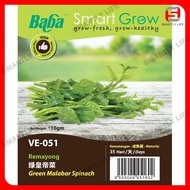 Baba Smart Grow Seed: VE-051 Green Malabar Spinach 绿皇帝菜 Remayong Biji Benih