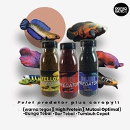 Channa caropyll Fish Pellet Plus Predator 50gr Premium red blue yellow