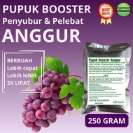 Pupuk Booster Anggur / Obat Booster Buah Anggur / Pupuk Booster Buah Anggur / Pupuk Buah Anggur