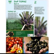 bibit sawit topaz termurah