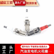 Gasoline Generator Polishing Machine Pump Microcultivator Spark Plug Three-Claw Spark Plug F7TC Igni
