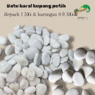 Kupang white coral stone repack 1kg & 8Kg cage for garden decoration