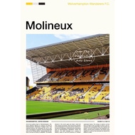 World Famous Sports Stadiums Anfield Allianz Arena Molineux Arsenal Canvas Posters Wall Art Home Dec