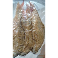 IKAN PEKASAM ORI KELANTAN