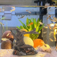 [vaklnas] Tank Driftwood Wood Driftwood Tree Aquarium Accessories Cave Hideout for Amphibians Aquatic Pets to Breed