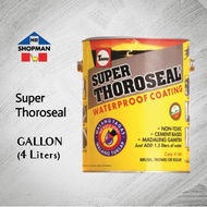 Super Thoroseal Waterproof Coating Gray