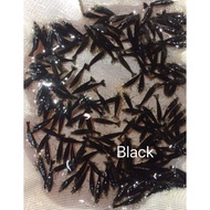 Black coco250e package aquarium accessories