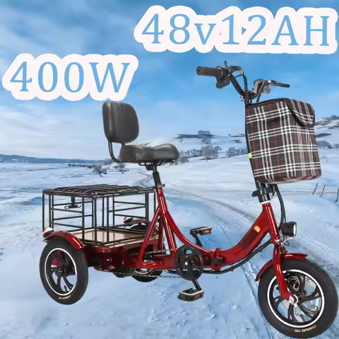 3Wheel Electric Bike 400W 48V12AH Removable Battery Folding Ebike adult with Pet Basket Storage Bask