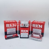 RKN PISTON KIT KLX XB (RESISTANT) D:61 STD,D:62 100,D:63 200,D:64:300,D:65 400,D:66 500
