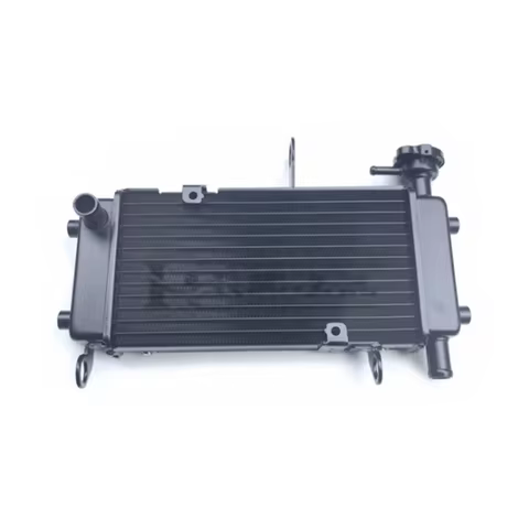 Motorcycle Engine Parts Water Cooler Radiator For QJMOTOR 125cc SRV125 QJ SRV 125