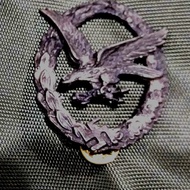 emblem Luftwaffe Airborne