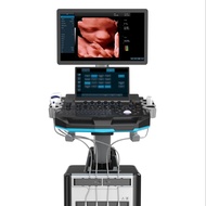 21.5 Inch High-Definition Main screen and 13.3 Inch Touch Screen Color Doppler Ultrasound Machine Po