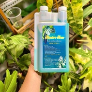 Grow Extra+ foliar nutrition, monstera house fertilizer, foliar fertilizer, hydroponic solution