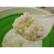 Kefir Milk Grains Starter