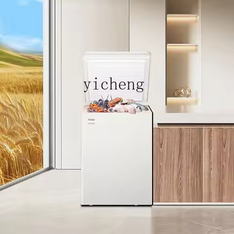ZZ Household Small Full Freezer Refrigerator 100/200L Freezer First-Class Energy Efficiency Non-No F