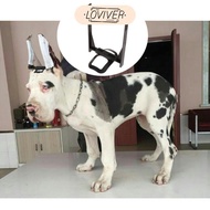 [Loviver] puppy ear Care Standing Tools, Husky Doberman Pinscher puppy ear Corrector