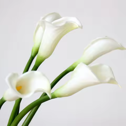 White Calla Lily Artificial Flower Calla Lily Like Real With Stem Bridal Bouquet Wedding Flower Arra