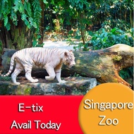 ! HOT ! Singapore Zoo with Tram / E ticket / Scan Enter