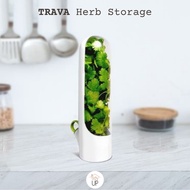 [Tidy Up] TRAVA Herb Storage Vegetable Leaf/ Refrigerator Storage Fresh Herb Saver Vegetable Keeper 