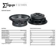 SPEAKER ENIGMA 12 X401 12INCH