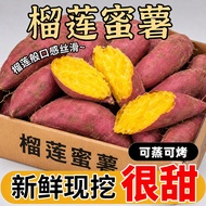 日本进口  榴莲蜜薯 软糯香甜 番薯 地瓜 Fresh Durian Honey Sweet Potato Soft & Sweet Yam