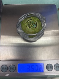 UX21 全新高重/頂重35.32g 薯片龍上蓋 飛龍翱翔 Hover Wyvern