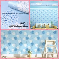 Dandelion flower Wallpaper biru