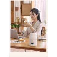 TERMOS Electric Kettle Portable Kettle Thermos Water Kettle Multifunction for Cooking porridge, soup