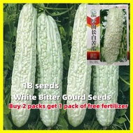 White Bitter Long Gourd Ampalaya Seeds 苦瓜 High yield 18 Seeds Long White Bitter Gourd Seeds for Plan