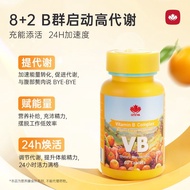 GITEWA Vitamin B Complex Strawts Supplement20250714