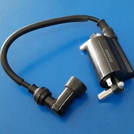KTN 200 - Ignition CoiL (Plug Coil) w Plug Cap