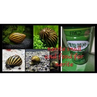 Spirulina Tablets – High Protein Source for Humans and Pets like nerite snail