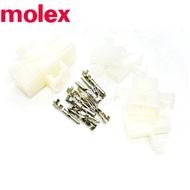 Molex 1625 Connector Housing Plug with Terminals