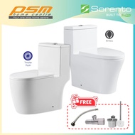 SORENTO One Piece Water Closet Wash Down Rimless Flushing / Twister System Toilet WC SRTWC8317-RL / 