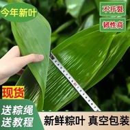 ✨✨✨Wild Big Rice Dumpling Leaves Fresh Reed Leaves Vacuum Packed Big Wide Leaves Wild Leaves Househo