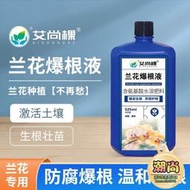 【樂樂屋】蘭花爆根液專用型濃縮營養液室內蝴蝶蘭墨蘭石斛蘭花肥料
