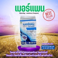 เมอร์แพน แคปแทน ADAMA ขนาด 1 กก. แคปแทน(captan) 80 % WG โรคราน้ำค้าง แอนแทรคโนส โรคใบไหม้ โรคใบแห้ง
