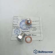 BOLTN789 - M10X10 Oil Tap Bolts 14 Bolts Original Vespa Oil Bolts 1 Set of Bolts and Rings